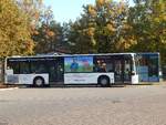 Mercedes Citaro I von B.B.-Reisen und Setra 319 UL von Unger Reisen aus Deutschland in Neustrelitz.