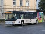 Setra 415 NF von Becker-Strelitz Reisen aus Deutschland in Neubrandenburg.