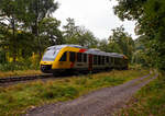 Der VT 258 (95 80 0648 158-3 D-HEB / 95 80 0648 658-2 D-HEB) ein Alstom Coradia LINT 41 der HLB (Hessische Landesbahn) erreicht am 03 Oktober 2025, als RB 96  Hellertalbahn  (Dillenburg – Haiger – Herdorf – Betzdorf/Sieg), bald den Hp Grünebach Ort. So langsam verfärben sich die ersten Blätter, es wird Herbst.

Der Alstom Coradia LINT 41 wurde 2004 von der ALSTOM Transport Deutschland GmbH (vormals LHB - Linke-Hofmann-Busch GmbH) in Salzgitter-Watenstedt unter der Fabriknummer 1188-008 für die vectus Verkehrsgesellschaft mbH gebaut, mit dem Fahrplanwechsel am 14.12.2014 wurden alle Fahrzeuge der vectus nun Eigentum der HLB, die Hessische Landesbahn hatte 74,9% der Gesellschaftsanteile.
