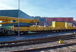4-achsiger Drehgestellflachwagen mit klappbaren Seitenborden und Rungen, der Hering Bahnbau GmbH (Burbach), 80 80 3948 004-7 D-HGUI, Gattung Res, hier als Schutzwagen zum Gleisbauschienenkran KIROW