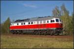 WFL 232 141-2 solo in Berlin Wuhlheide, 23.04.2015    Ausgeliefert wurde die Lok als 132 141-3 an die DR im Jahr 1974.