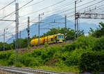Ein Unkrautspritzzug der italienischen Unterhaltungsfirma Geosintesi S.p.A. am 05.08.2019 in Domodossola auf der Bahnstrecke Domodossola–Mailand (RFI 23) im Einsatz.

Der Spritzzug besteht aus dem Arbeitsfahrzeug mit der UIC-Nummer 300 006-8 IT-RFI und zwei angehangenen Kesselwagen.

Im Vordergrund verluft die eingleisige Bahnstrecke Domodossola-Novara  (RFI 14).
