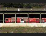 auf schmaler Spur/1775/-motiv-verdeckt-aber-mit-absicht . Motiv verdeckt, aber mit Absicht - Lokomotive der Matterhorn Gotthard Bahn in einer Lawinengalerie bei Andermatt (Jonas)