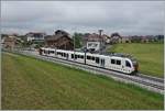 Der TPF Regionalzug S50 nach Palézieux wartet in Vaulruz Sud auf den Gegenzug.