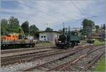 Nachdem der OeBB Extrazug zum traditionellen Gotthelf M�rit Sumiswald Gr�nen erreicht hat, rangiert die OeBB die Mallet Dampflok Ed 2 2/2 196 und ich kann sie (endlich) von  vorne  fotografieren. 14. Juni 2025