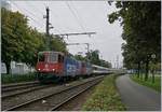 Umlaufbedingt verkehrt der EC 191 mit zwei SBB Re 4/4 II (bzw. Re 421); im Bild ist der Zug bai der Ausfahrt in Bregenz zu sehen. 

17. Sept. 2019
  