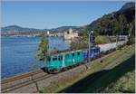 Die beiden Re 4/4 III 114 und 111 sind mit einem Kesselwagenzug beim Château de Chillon Richtung Wallis unterwegs.