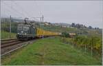 Mit lieben Fotografenkollegen von BB.de auf Fototour: Einen krönenden Abschluss bot die grüne SBB Re 4/4 II 11335 mit ihrem Postzug bei Auvernier.
Die SBB Re 4/4 II 11335 ist die einzige grüne SBB Cargo Re 4/4 II. 

8. Okt. 2025