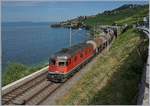 Die SBB Re 6/6 11680 (Re 620 080-2)  Möhlin  fährt mit einem Kesselwagenblockzug zwischen Rivaz und St-Saphorin dem Lac Léman entlang.