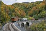 Vor dem Hintergrund des schon etwas bunten Herbstwalde fährt die Blonay-Chamby Bernina Ge 4/4 81 mit ihrem Personenzug bei  Vers-Chez-Robert  über die Baye de Clarens Brücke in Richtung