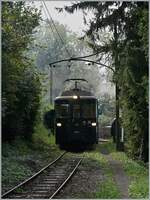 Autour de la voie ferrée / Rund um die eiserne Bahn (Herbstevent 2024) - Dieses Jahr zu Gast bei der Blonay-Chamby Bahn: der wunderschön hergerichtet GFM (Historique) BDe 4/4 141 in  Tannengrün ; der Triebwagen wurde 1972 gebaut. Das Bild zeigt den GFM Triebwagen bei  der Ankunft in Chaulin; für den mystischen Rauch und Dampf sorgen die Dampfloks in der Lokbehandlung.

7. Sept. 2024