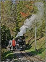 Die BFD HG 3/4 N° 3 der Blonay Chamby Bahn ist mit ihrem Reisezug kurz nach der Bifurcation von Chaulin auf dem Weg nach Chamby.