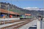 In Zweisimmen wartet die BLS Re 4/4 II 501 mit ihrem EW III RE nach Interlaken auf die Abfahrt.