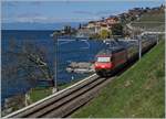 Die SBB RE 460 0274 in einer Gestaltungsvariante, die leider nicht in  Serie  ging: neben dem aufgemalten SBB Signet, ist die Loknummer an der Front angebracht.