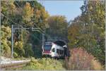 Mit herbstlichen Farben wunderschön eingerahmt zeigt sich hier das Westportal das Salanfe Tunnel mit dem SBB RABe 523 028 auf der Fahrt nach Vevey.
