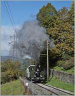  La DER de la Saison  - Die kleine Dampflok raucht wie eine grosse; was den Fotografen freut freut nicht unbedingt die Anwohner...