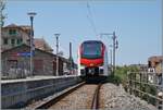 An der, an der Grenze zu Frankreich liegenden Endstation St-Gingolph, ist die Fahrzeugvielfallt eher �berschaubar. Doch im Laufe der Zeit kommt doch das eine oder andere zusammen; ich m�chte jetzt nicht gerade bis zu den C 5/6 zur�ckgreifen, doch von den BDe 4/4 �ber NINA zu den Domino gab es hier doch schon einiges zu sehen. Bis letztes Jahr kamen hier einmal pro (Werk-) Tag auch BLS RABe 528 MIKA zum Einsatz, doch nun mit der Inbetriebnahme der neuen EVO Flirts geh�rt dies bereits der Vergangenheit an. Daf�r gibt es nun in St-Gingolph vermehrt diese neuen EVO zu sehen: Im Bild der Region Alpes RABe 533 702 (RABe 94 85 0 533 702-2 CH RA) der als R91 6118 von Brig in St-Gingolph angekommen ist (14:06) und als R91 6123 nach Brig zur�ckfahren wird (ab 14:51). In der Zwischenzeit wird der Zug gereinigt, bzw von mir fotografiert. 

26. Mai 2026