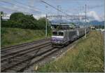 Die herrliche BB 22391 der zwischenzeitlich eher selten zu sehenden SNCF Lok Baureihe BB 22200 ist bei Vernier mit ihrem TER 96605 auf der Fahrt von Grenoble nach Gen�ve. 

1. Juni 2026