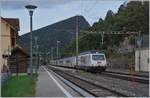 Die BLS Re 465 004  Kambly  mit ihrem RE 3910 Bern - La Chaux-de-Fonds beim Fahrtrichtungswechsel in der Spitzkehre von Chambrelien.