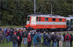 Grosses BoBo-Treffen in Balsthal: 60 Jahre Re 4/4 II in der Schweiz. 

Nicht umsonst erste unter Gleichen, den sie ist berraschend der neue Star:  Angefhrt wird der ber 400 m lange Lokzug von Re 4/4 II 11141, die wiedererstrahlt im Swiss-Express-Gewand. Oensingen, September 2024.