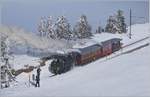 Die RB (Rigi Bahnen) H 2/3 16 erreicht mit ihrem Dampfzug 1223 Rigi Staffel.