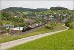 GmP mit A 3/5 705 auf der Bzbergstrecke bei Zeihen anlsslich des Bahnparkfestes Brugg.