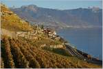 Viel Lavaux und Waadtländer Alpen und nur ein paar Pixel Eisenbahn; eine SBB Re 460 fährt mit ihrem IR bei St-Saphorin dem Genfer See entlang Richtung Lausanne.