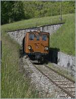 Nostalgie & Vapeur 2021  /  Nostalgie & Dampf 2021  - so das Thema des Pfingstfestivals der Blonay-Chamby Bahn. Die Bernina Bahn RhB Ge 4/4 81 der Blonay-Chamby Bahn verlässt den 45 Meter langen Tunnel Cornaux, welcher die Strecke von der Baye de Clarens kommend wieder auf die aussichtsreiche Seite der Riviera Vaudoise führt. 

23. Mai 2021