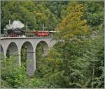 Les chemins de fer disparus - Die verschwundenen Bahnen (Zell - Todtnau 1889 - 1967) - Die SEG G 2x 2/2 105 der Blonay - Chamby Bahn fährt mit ihrem Dampfzug von Chaulin nach Blonay über den