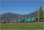 Kurz nach Gstaad ist die MOB Ge 4/4 8004  Swisstainable  mit dem GoldenPass Express PE 4069 auf der Fahrt von Interlaken Ost nach Montreux.