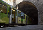Noch eine Variante als Gegenstück zu Stefans Bild aus dem Tunnel raus. Zwei geöffnete Schlünder laden zur Überquerung des Styx ein. Heute mit Lokführerin und BDeh 4/4 313 der AL statt mit Boot und Fährmann. Leysin-Grand-Hôtel, Januar 2026.
