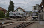 Die beiden kurzen ABe 4/8 32 und ABe 4/8 35 sind Schöftland abgestellt, während am Bahnsteig der lange ABe 4/8 33 wartet am Bahnsteig auf die Abfahrt. August 2024.

Die Triebzüge wurden 1992 an die WSB und 1993 an die BD geliefert. Da die Züge der kurvenreichen BD im Jahr 2008-11 durch neue Triebzüge der Bauart Diamant von Stadler ergänzt wurden, kamen sie zur WSB, wo sie mit dortigen längeren Zügen gleicher Bauart neu kombiniert wurden. Links stehen die neu kombinierten Züge im Design A-Welle. Rechts steht mit ABe 4/8 33 der einzige Zug aus zwei langen Triebwagen. Vom Design sehen die Züge erstaunlich modern aus, so dass ihr Alter von 31 Jahren nicht vermuten würde. 

Die baugleichen RBS-Triebzüge laufen heute auch nicht mehr unverändert, sondern haben einen Mittelwagen bekommen, einige von Beginn an. Nach der Revision laufen die Züge unter dem Namen Seconda und unterscheiden sich durch den zusätzlichen Mittelwagen von den WSB-Zügen.