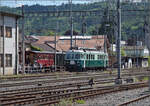 150 Jahre Emmentalbahn. 

Der Wellensittich Be 4/4 761 auf dem Weg zum nahegelegenen Depot Oberdorf. Burgdorf, Mai 2025.