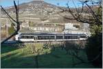 Weit schwieriger als gedacht entpuppte sich in Vevey Vignerons das Fotografieren der Züge, wie dieses Bild des nach Vevey fahrenden ABeh 2/6  Blonay  zeigt.