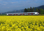 SBB: Regionalzug Biel-Olten mit einem Triebzug RABe 523 Flirt bei Niederbipp am 3.