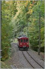 Der Blonay-Chamby RhB ABe 4/4 I N° 35 ist im Wald oberhalb von Blonay kurz vor dem Baye de Clarens Viadukt auf dem Weg nach Chaulin.