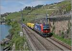 Nach einigen Problemen der Vectron Loks mit dem ETCS und der dadurch erfolgten Umdisponierung der SBB Cargo Vectron Loks auf Nicht-ETCS-Strecken, sind die SBB Cargo Vectron Loks nun vereinzelt wieder