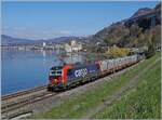 Die von SBB Cargo angemietete 193 076 ist kurz vor Villeneuve mit eimem Güterzug auf dem Weg in Richtung St-Maurice. 

2. April 2026
