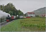 Am letzten Sonntag im Monat während der Betriebssaison verkehrt der Riviera Belle Epoque Zug der Blonay-Chamby Bahn.